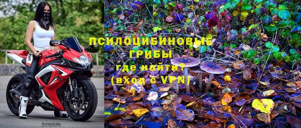 дурь Абаза